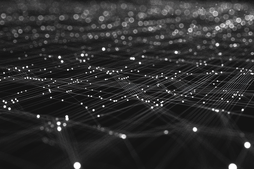 Monthly Update - November 2025